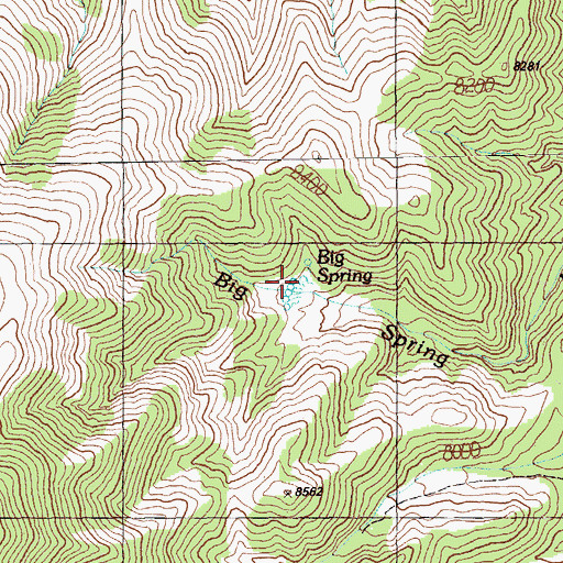 Topographic Map of Big Spring, NV