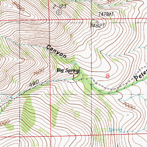 Topographic Map of Big Spring, NV