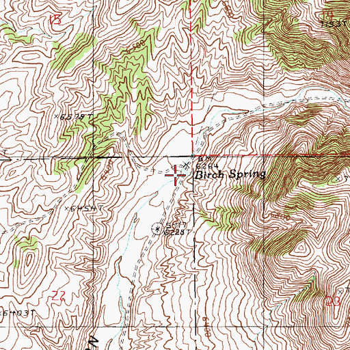 Topographic Map of Birch Spring, NV