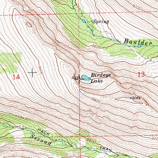 Topographic Map of Birdeye Lake, NV