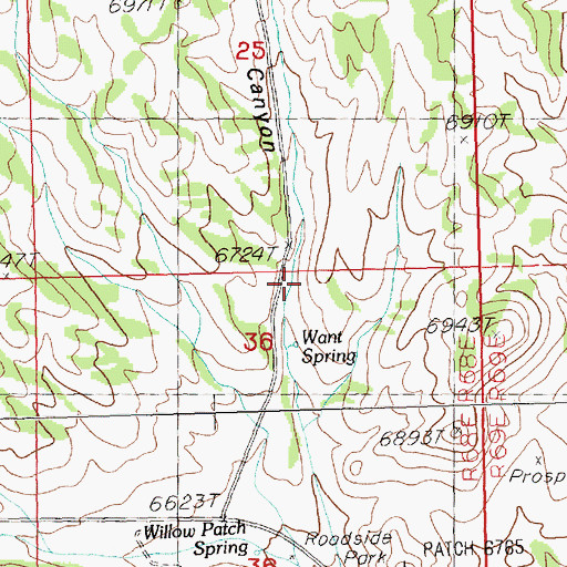 Topographic Map of Black Horse Canyon, NV