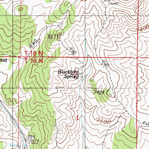 Topographic Map of Blackbird Spring, NV