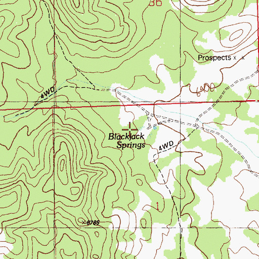 Topographic Map of Blackjack Springs, NV