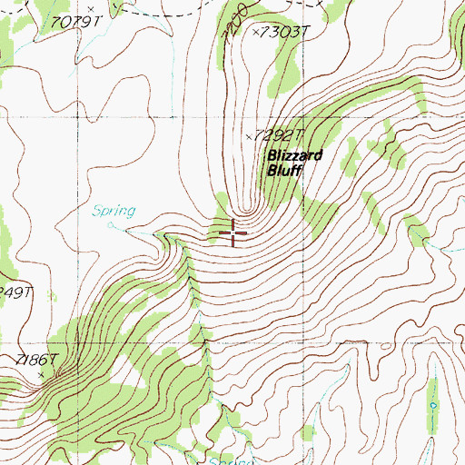 Topographic Map of Blizzard Bluff, NV