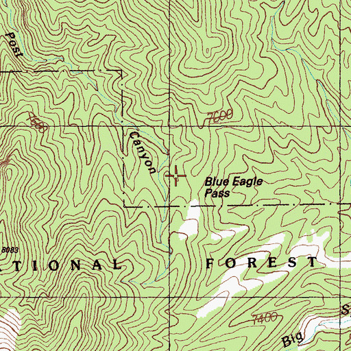Topographic Map of Blue Eagle Pass, NV