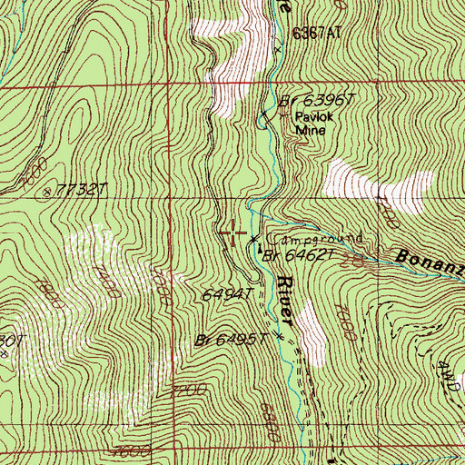 Topographic Map of Bonanza Gulch, NV