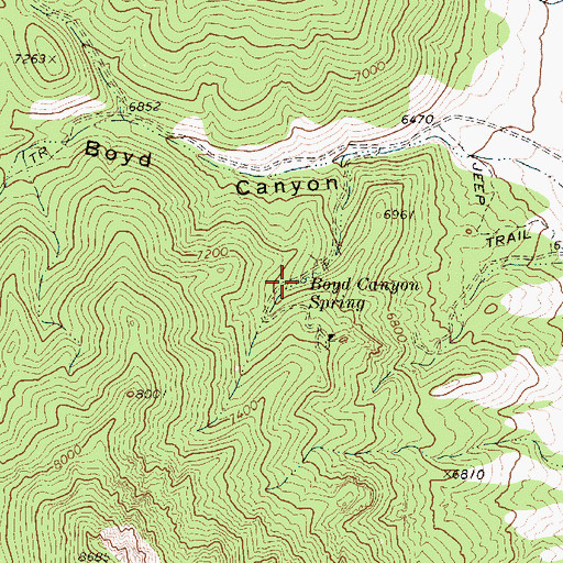 Topographic Map of Boyd Canyon Spring, NV