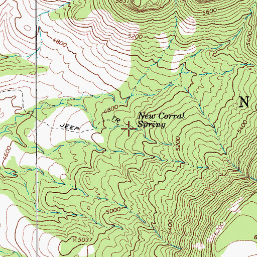 Topographic Map of New Corral Spring, AZ