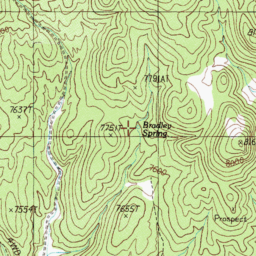 Topographic Map of Bradley Spring, NV