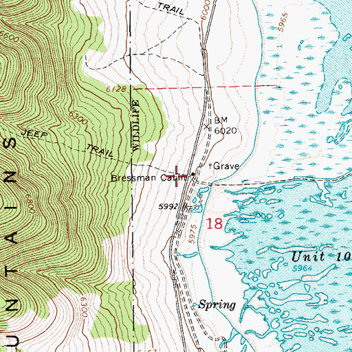 Topographic Map of Bressman Cabin, NV