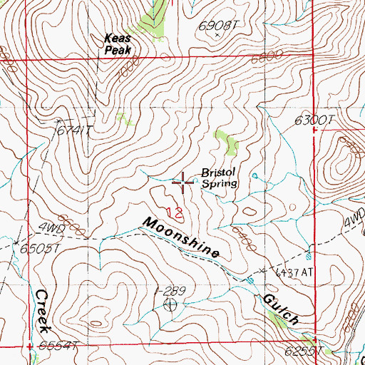 Topographic Map of Bristol Spring, NV