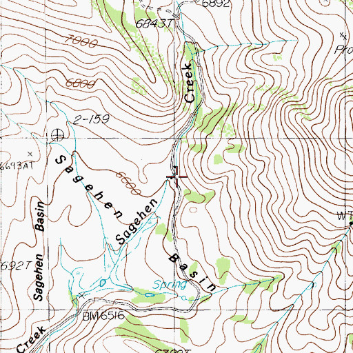 Topographic Map of Bruneau Ranch, NV