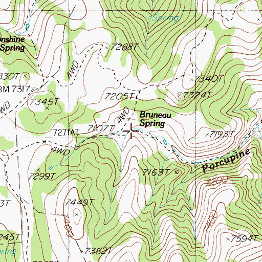 Topographic Map of Bruneau Spring, NV