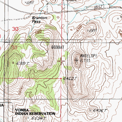 Topographic Map of Brunton Pass, NV