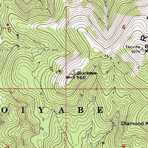 Topographic Map of Buckeye Hill, NV