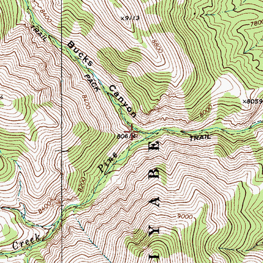 Topographic Map of Bucks Canyon, NV