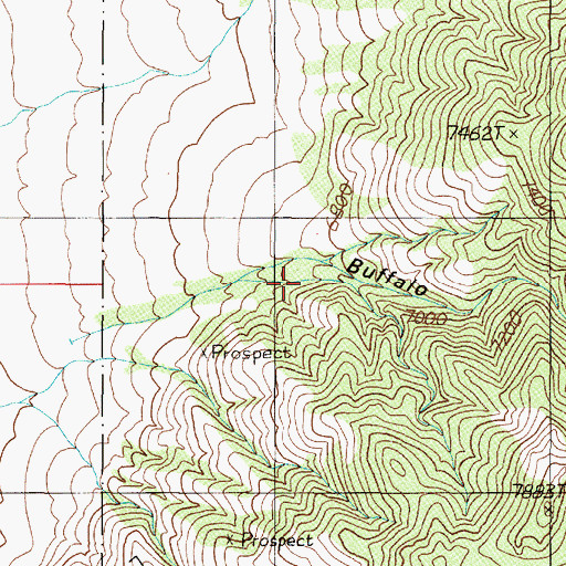 Topographic Map of Buffalo Canyon, NV
