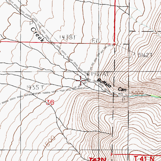 Topographic Map of Buffalo Canyon, NV