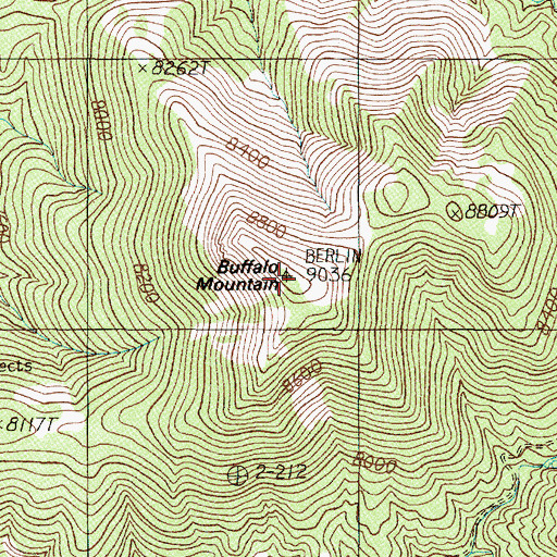 Topographic Map of Buffalo Mountain, NV