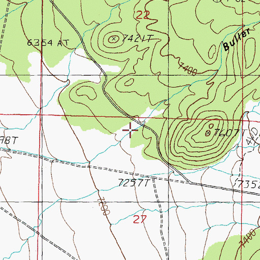 Topographic Map of Buller Canyon, NV