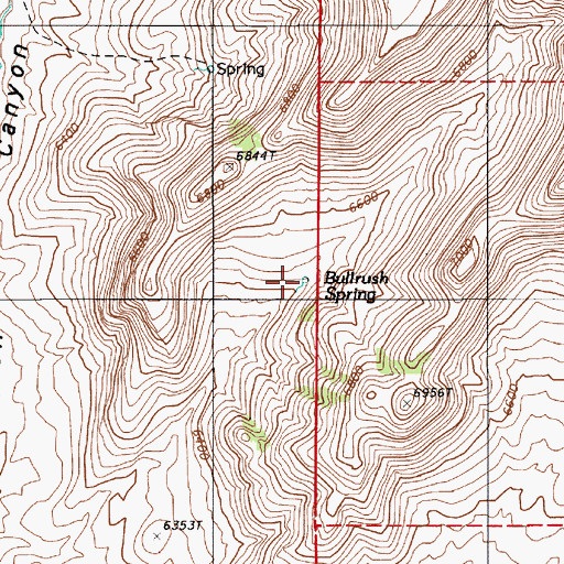 Topographic Map of Bullrush Spring, NV