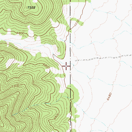 Topographic Map of Bunch Brush Canyon, NV