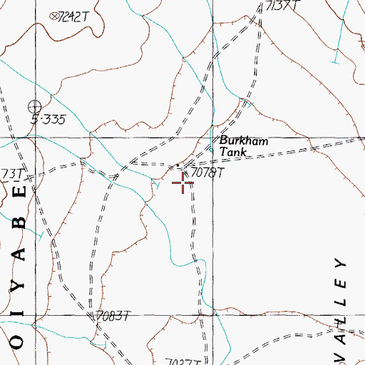 Topographic Map of Burkham Tank, NV