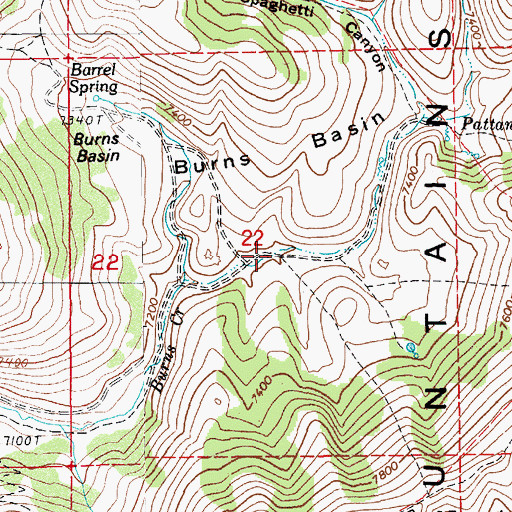 Topographic Map of Burns Basin, NV