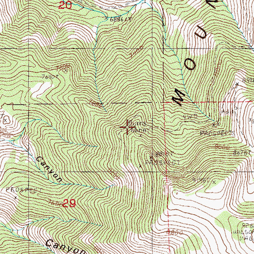 Topographic Map of Burns Mine, NV