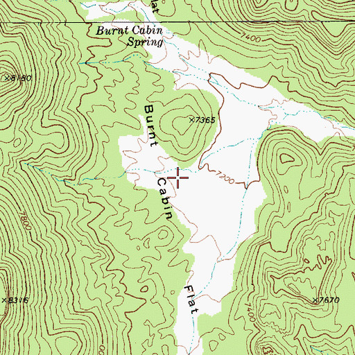 Topographic Map of Burnt Cabin Flat, NV