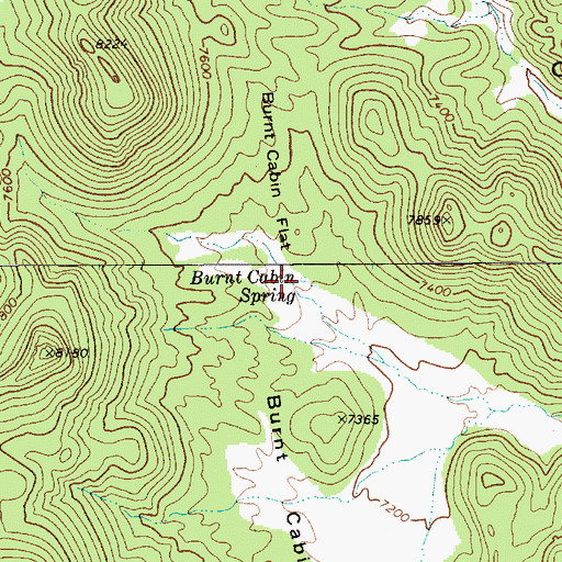 Topographic Map of Burnt Cabin Spring, NV