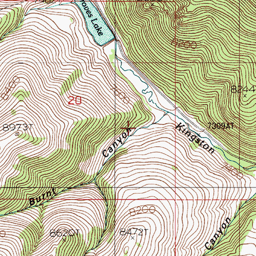 Topographic Map of Burnt Canyon, NV
