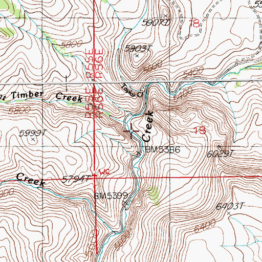 Topographic Map of Burnt Timber Creek, NV