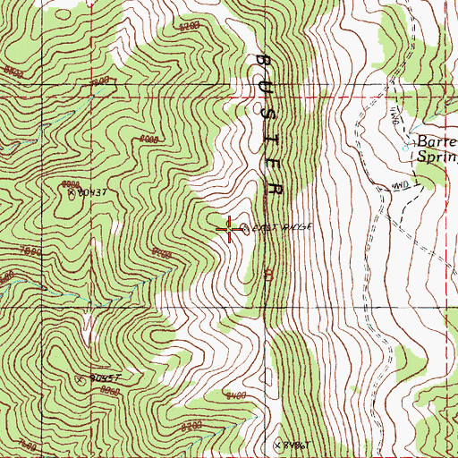 Topographic Map of Buster Mountain, NV