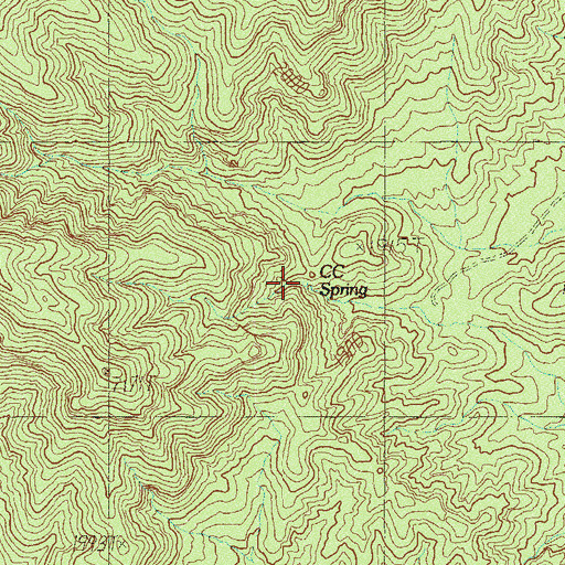 Topographic Map of CC Spring, NV