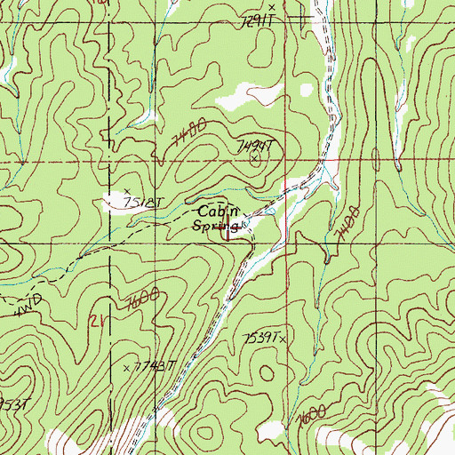 Topographic Map of Cabin Spring, NV