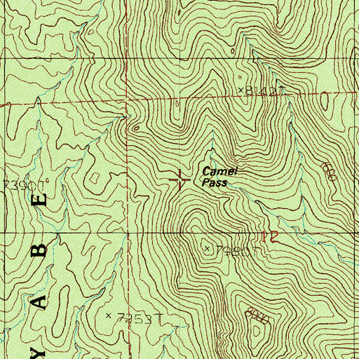 Topographic Map of Camel Pass, NV