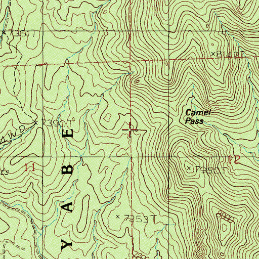Topographic Map of Camel Spring, NV