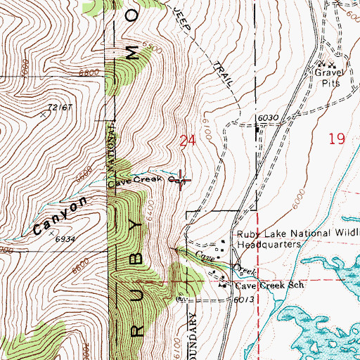 Topographic Map of Cave Creek Canyon, NV