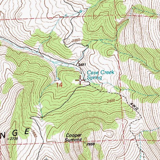 Topographic Map of Cave Creek Spring, NV