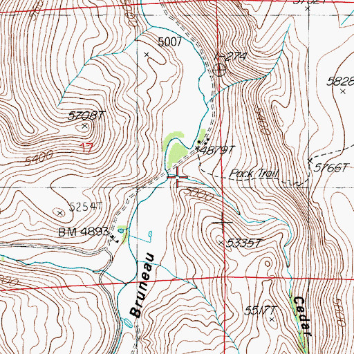 Topographic Map of Cedar Canyon, NV