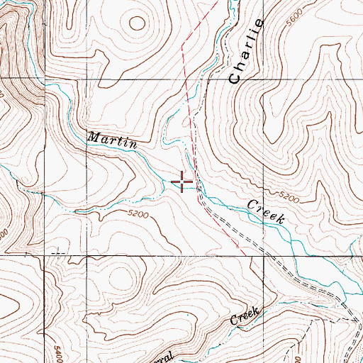 Topographic Map of Charlie Young Canyon, NV