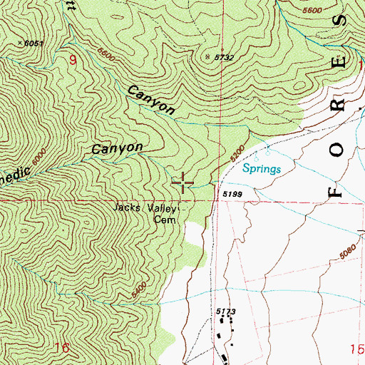 Topographic Map of Chedic Canyon, NV