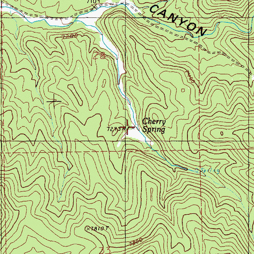 Topographic Map of Cherry Spring, NV