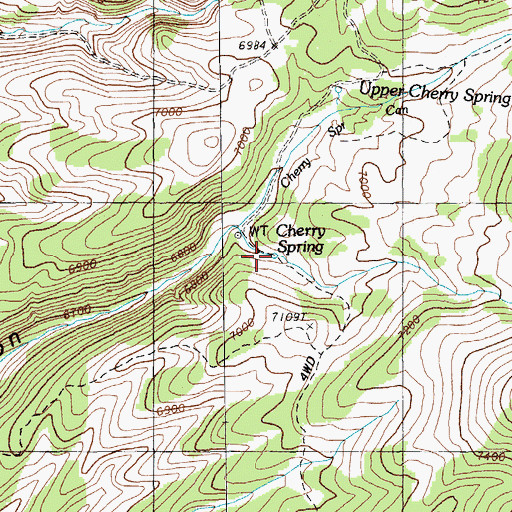 Topographic Map of Cherry Spring, NV