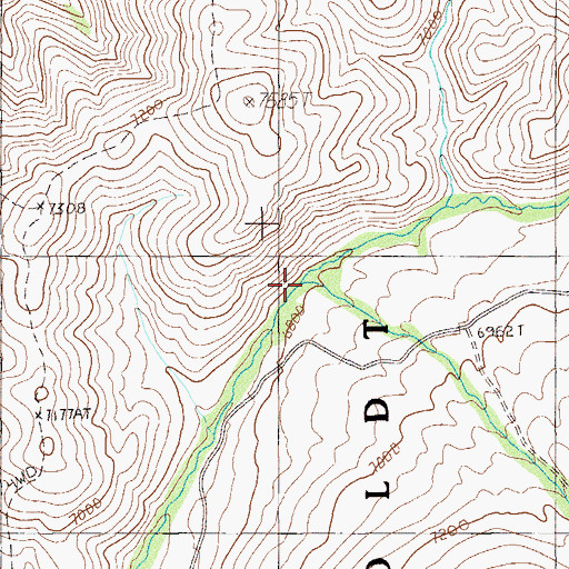 Topographic Map of Chicken Creek, NV