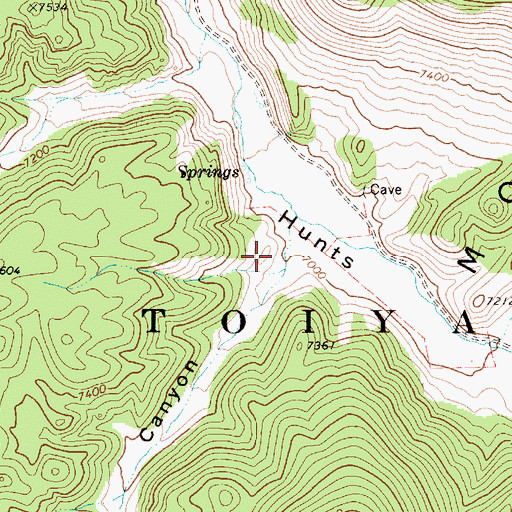 Topographic Map of Chimney Canyon, NV