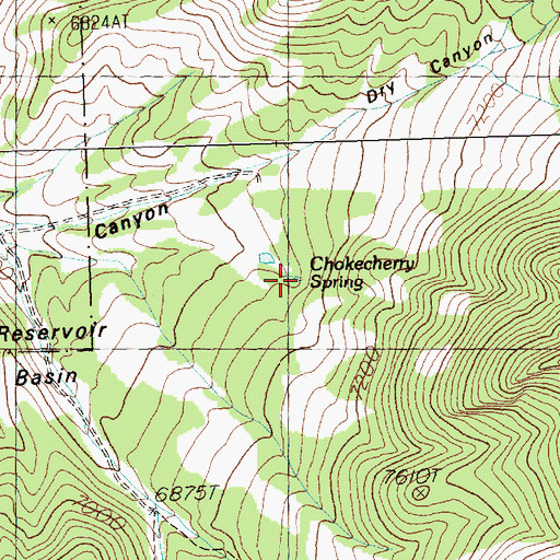 Topographic Map of Chokecherry Spring, NV