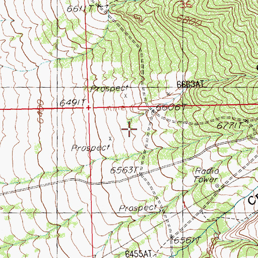 Topographic Map of Cold Spring Canyon, NV