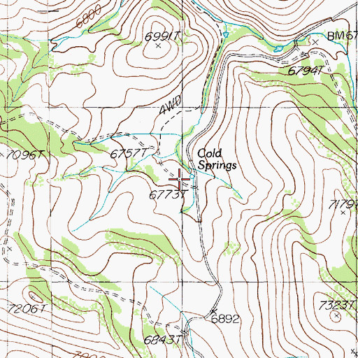 Topographic Map of Cold Springs, NV